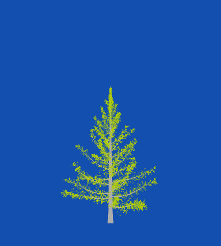 Treee