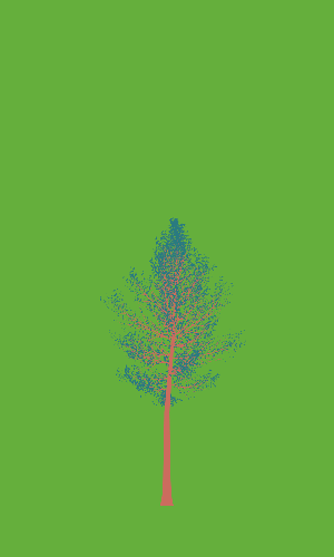 Treee
