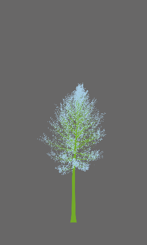 Treee