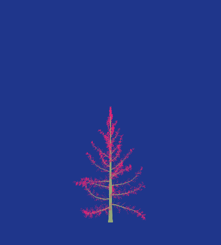 Treee