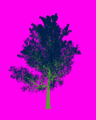 Treee