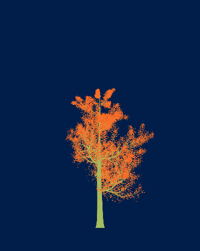 Treee