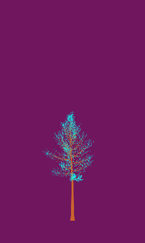 Treee