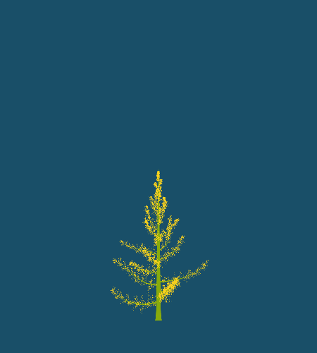 Treee