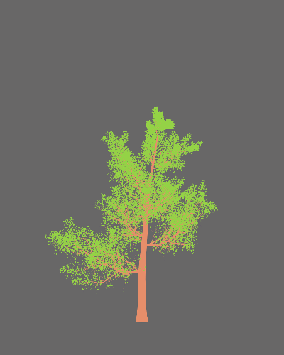 Treee