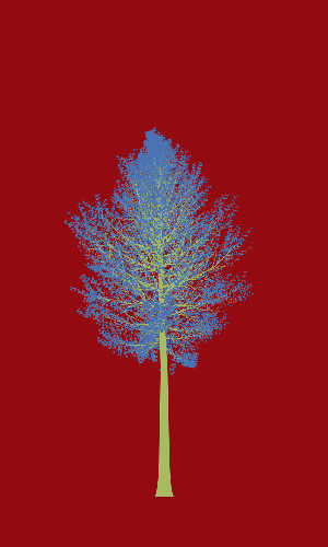 Treee