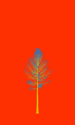 Treee