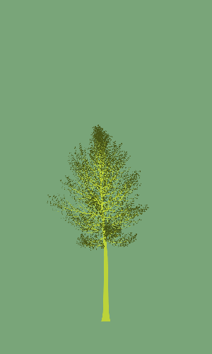 Treee