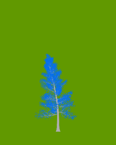 Treee