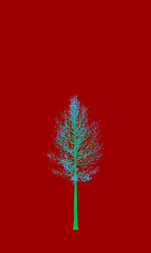 Treee