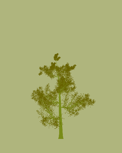 Treee