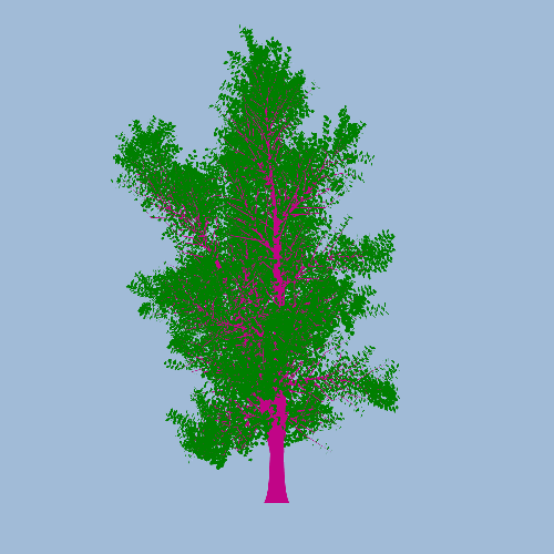 Treee