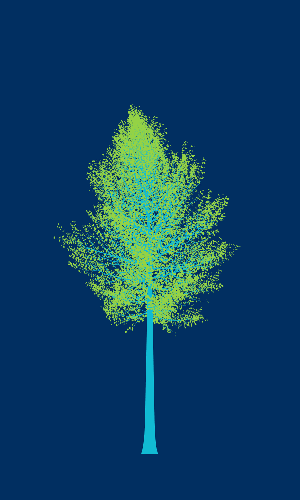 Treee