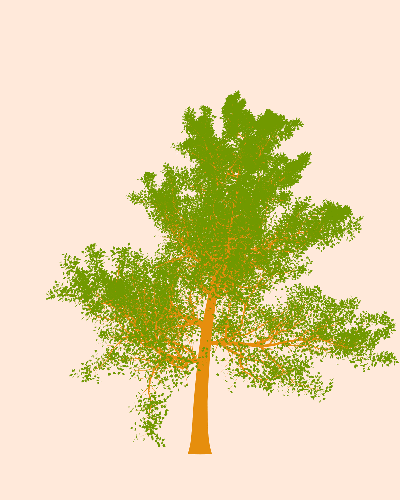 Treee