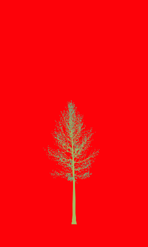Treee