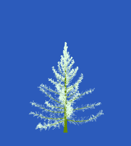 Treee