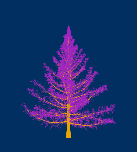 Treee