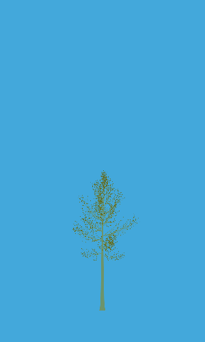 Treee