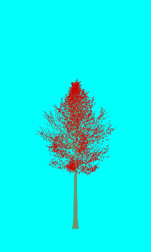 Treee