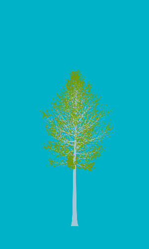 Treee