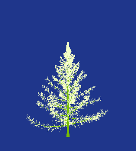 Treee