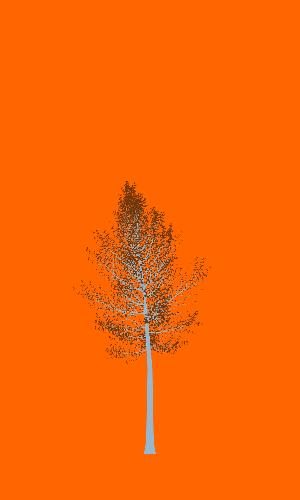 Treee