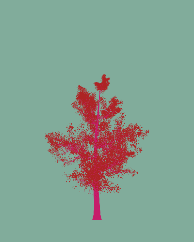 Treee