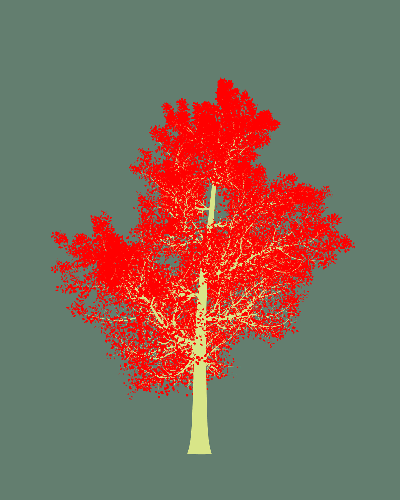 Treee