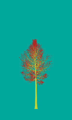 Treee