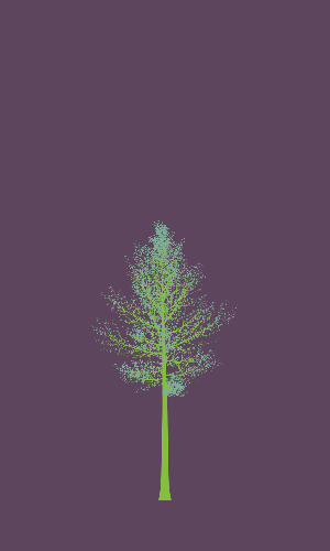 Treee