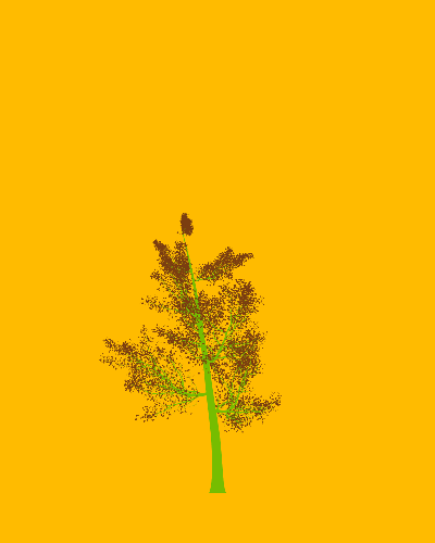 Treee