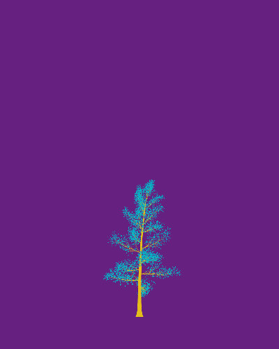 Treee