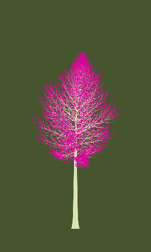 Treee