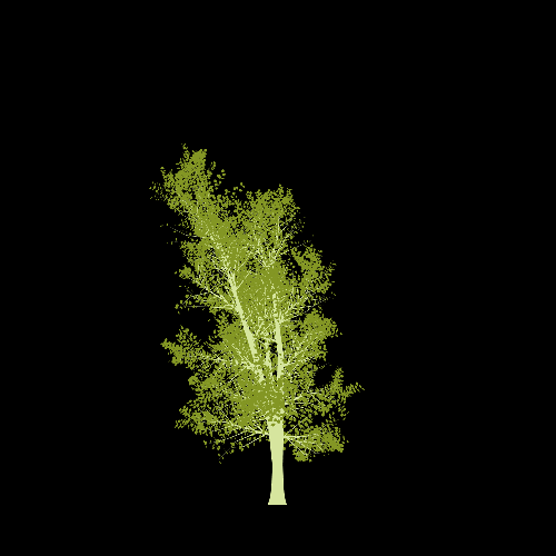 Treee