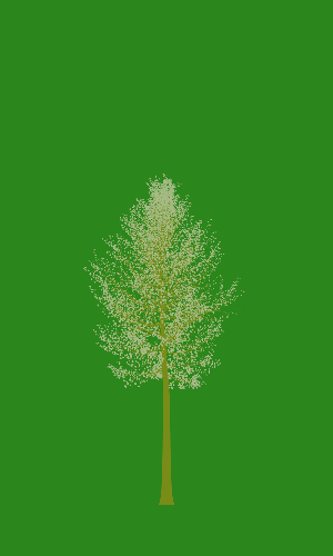 Treee