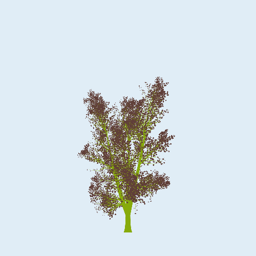 Treee