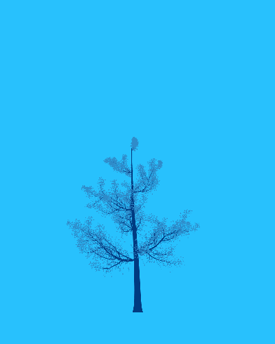 Treee