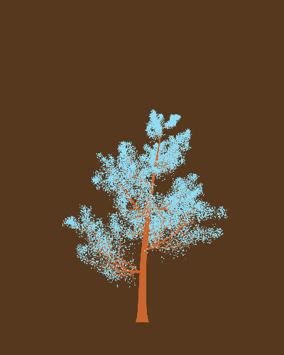 Treee
