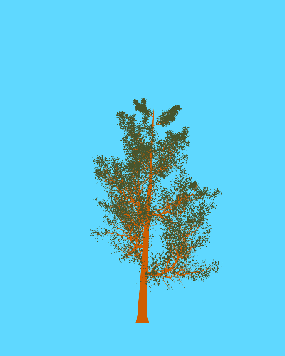Treee
