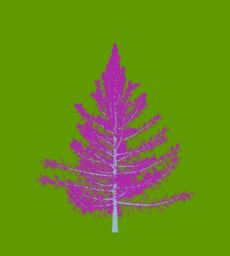 Treee
