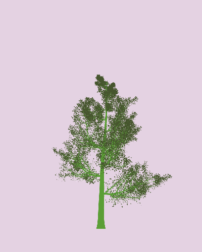 Treee