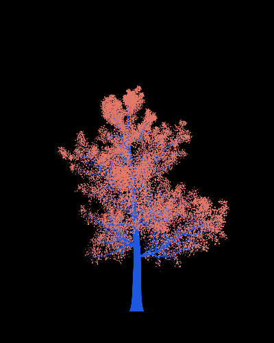 Treee