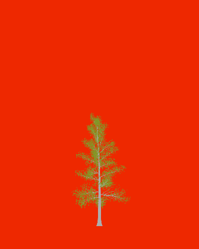 Treee