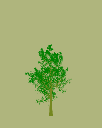 Treee