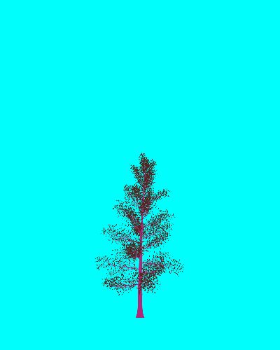 Treee