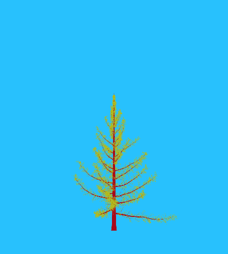 Treee