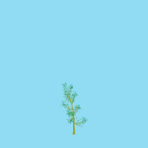 Treee