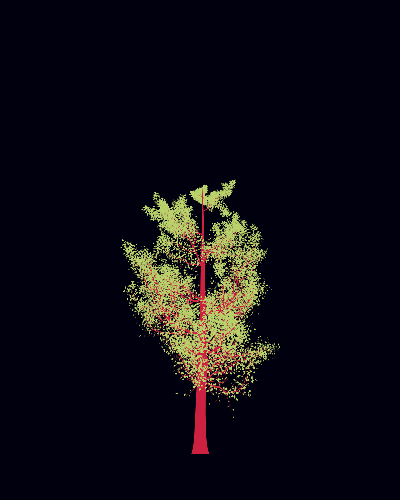 Treee