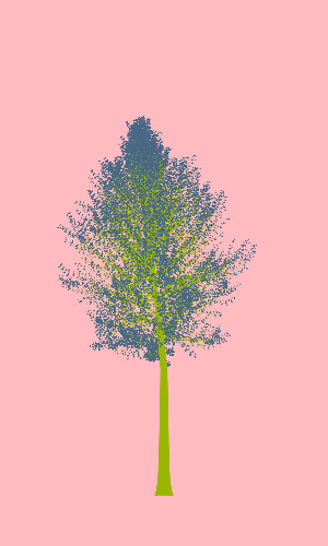 Treee