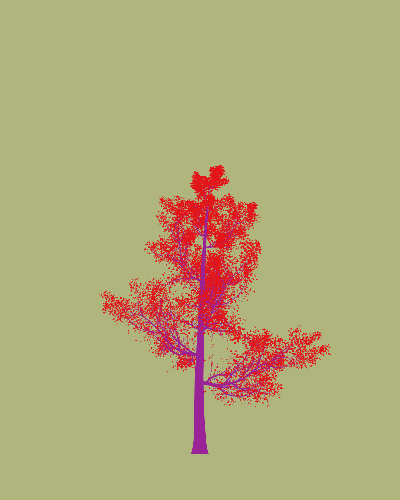 Treee